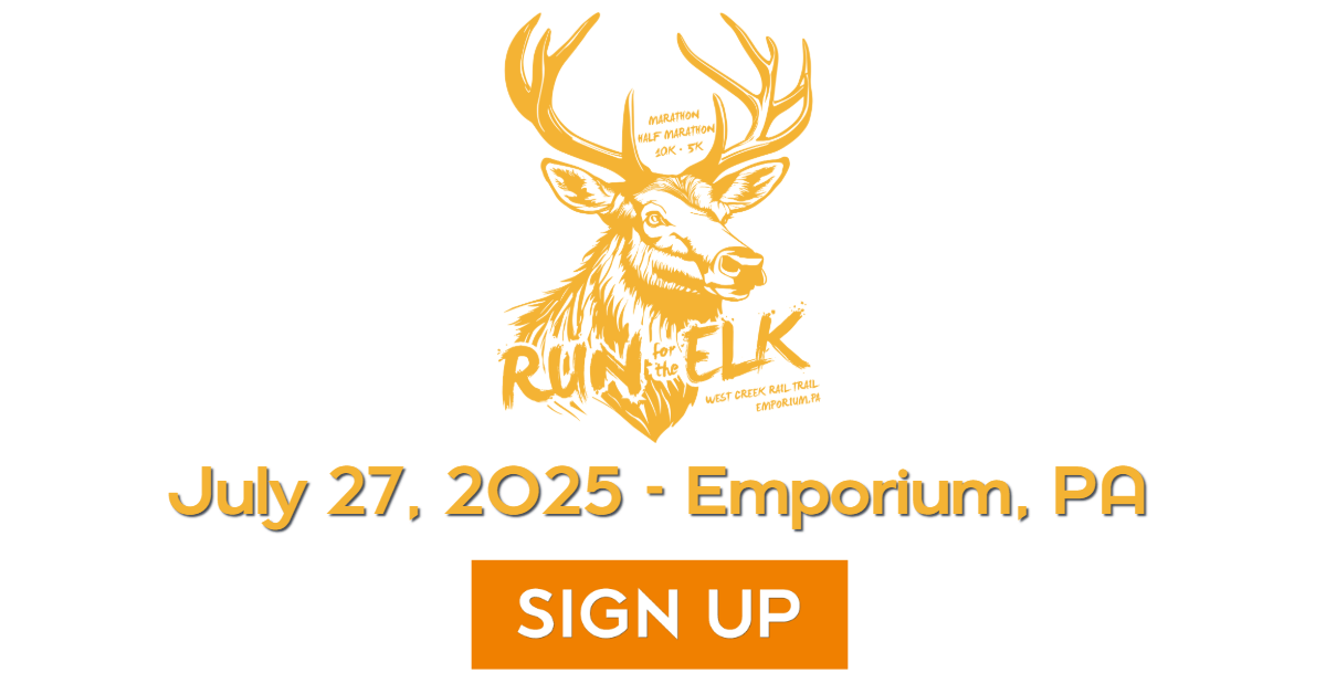 Basketball Team Standards